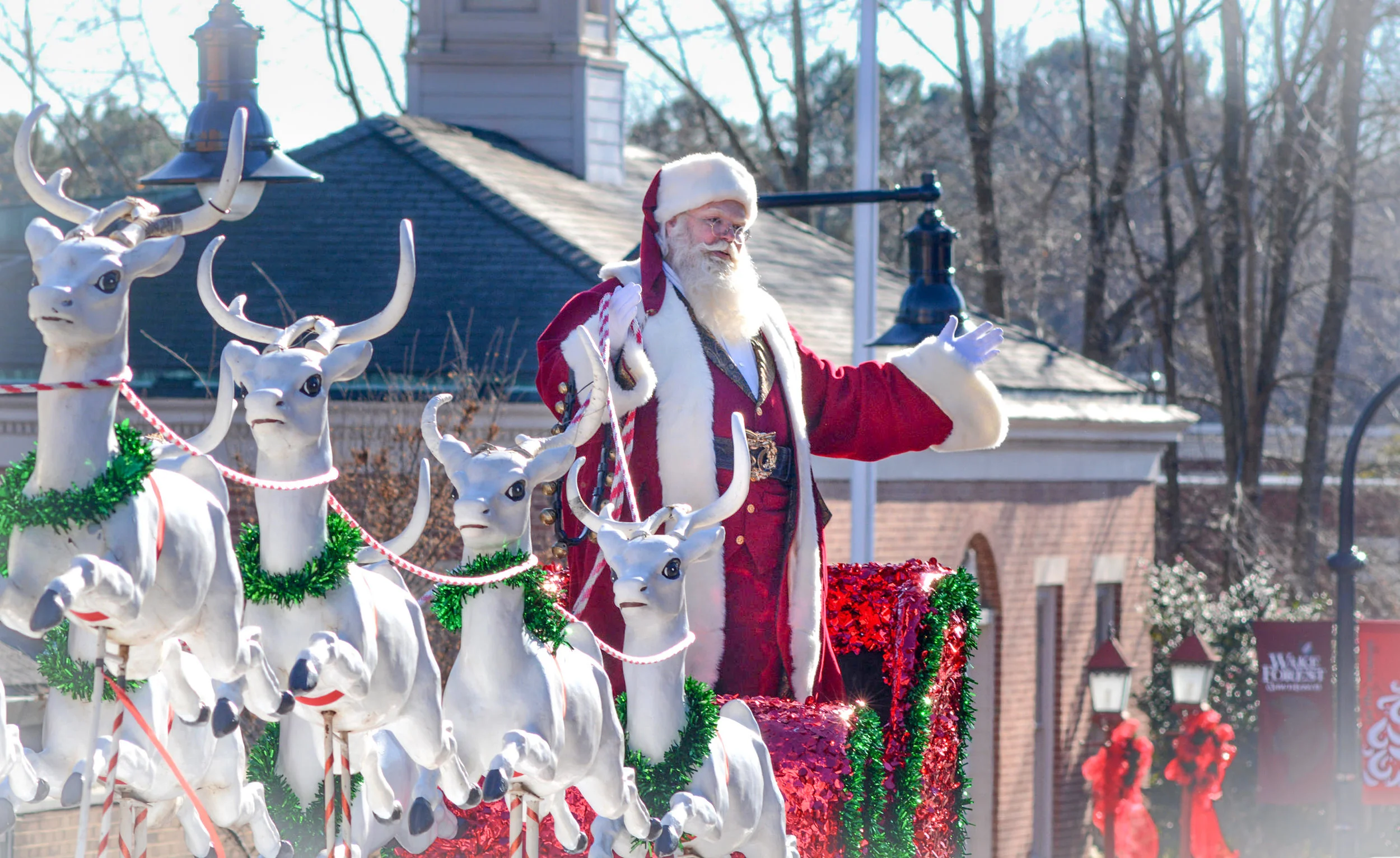 Santa in a reindeer-drawn sleigh bringing up the rear in the Wake Forest Christmas parade.
